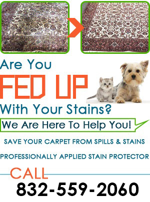 Rug Cleaning Services