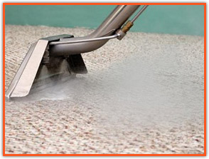 Steam Carpet Cleaning