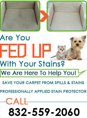 Upholstery Cleaning Services