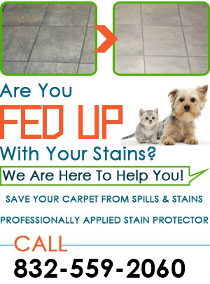 Tile Cleaning Services